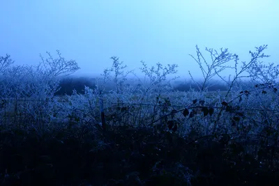 DSC_1031 (Large).JPG